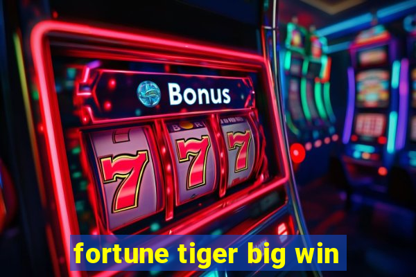 fortune tiger big win