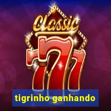 tigrinho ganhando