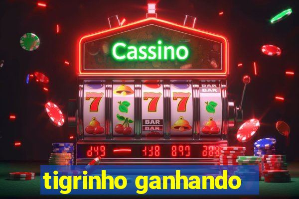 tigrinho ganhando