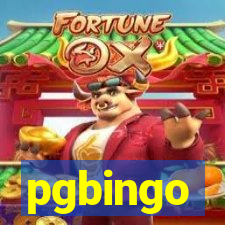 pgbingo