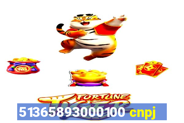 51365893000100 cnpj