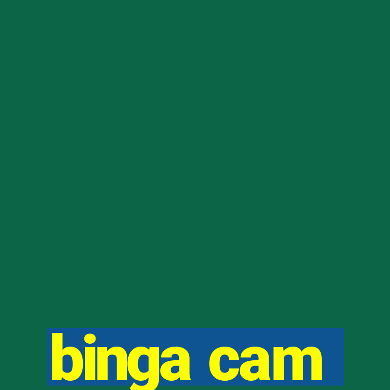 binga cam