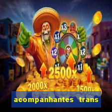 acompanhantes trans baixada fluminense