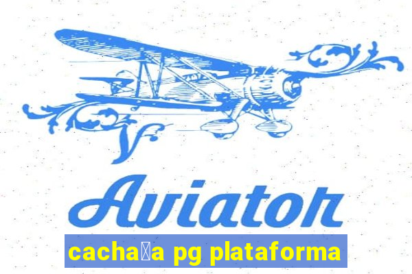 cacha莽a pg plataforma