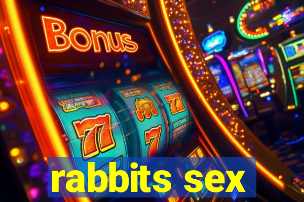 rabbits sex