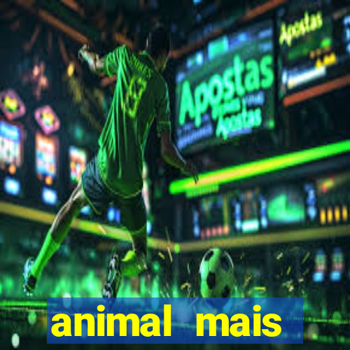 animal mais barulhento do mundo 230 decibeis