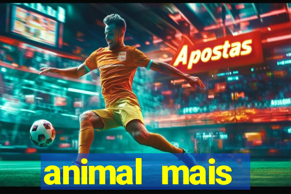 animal mais barulhento do mundo 230 decibeis