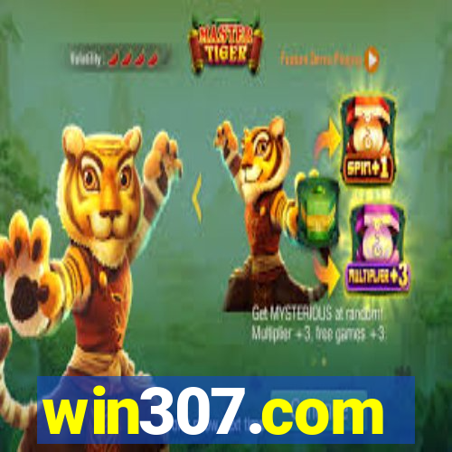 win307.com