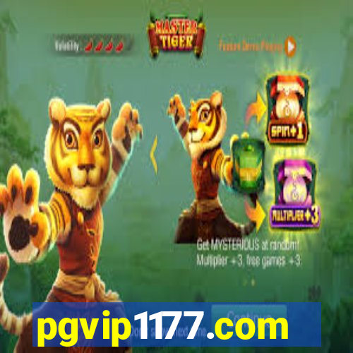 pgvip1177.com