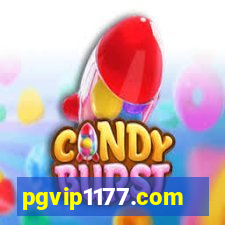 pgvip1177.com