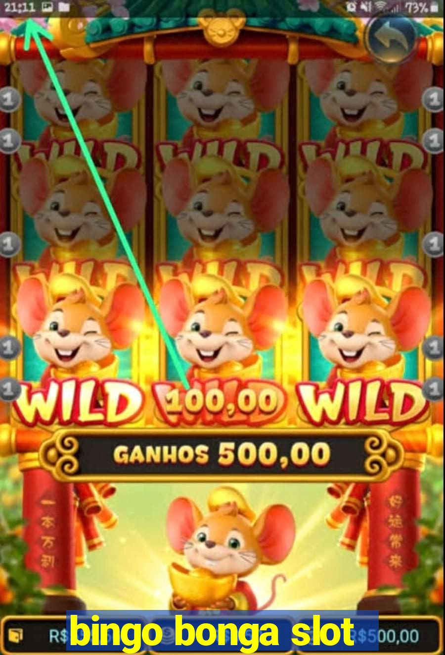 bingo bonga slot