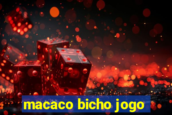 macaco bicho jogo