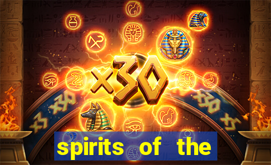 spirits of the storm slot free