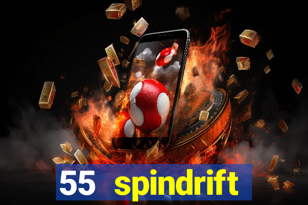 55 spindrift williamsville ny