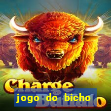 jogo do bicho aposta certa