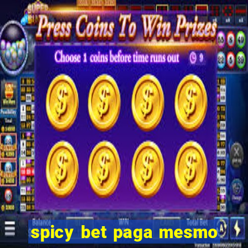 spicy bet paga mesmo