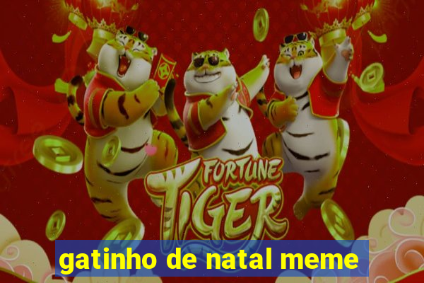 gatinho de natal meme