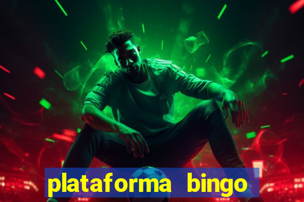 plataforma bingo slots paga mesmo