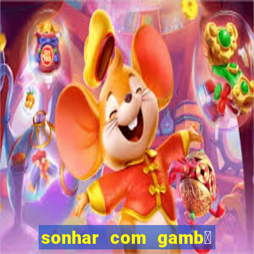 sonhar com gamb谩 jogo do bicho