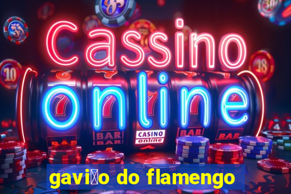 gavi茫o do flamengo