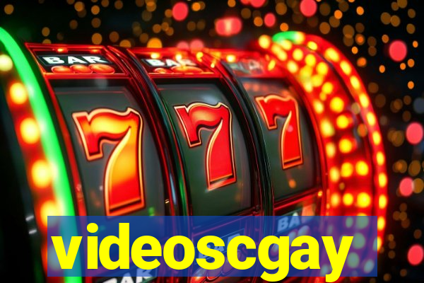 videoscgay