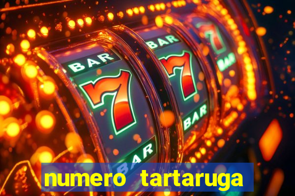 numero tartaruga jogo do bicho