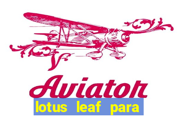 lotus leaf para que serve