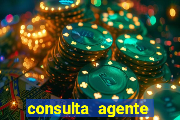 consulta agente autuador sp