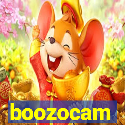 boozocam