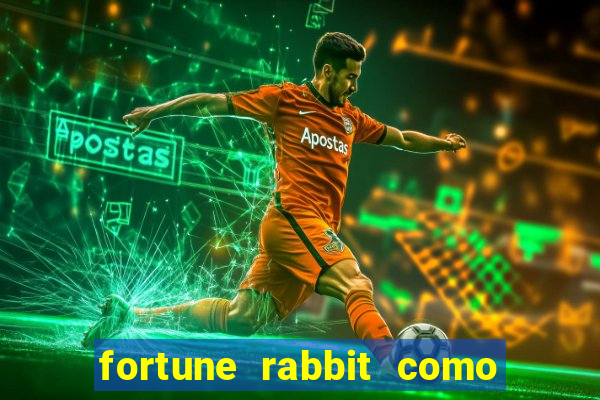 fortune rabbit como ganhar Informational