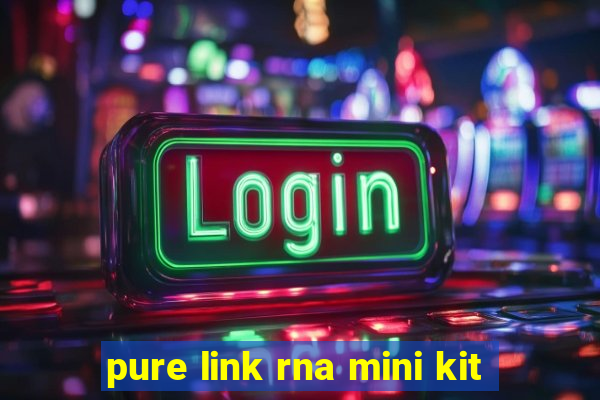 pure link rna mini kit