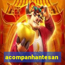 acompanhantesantos