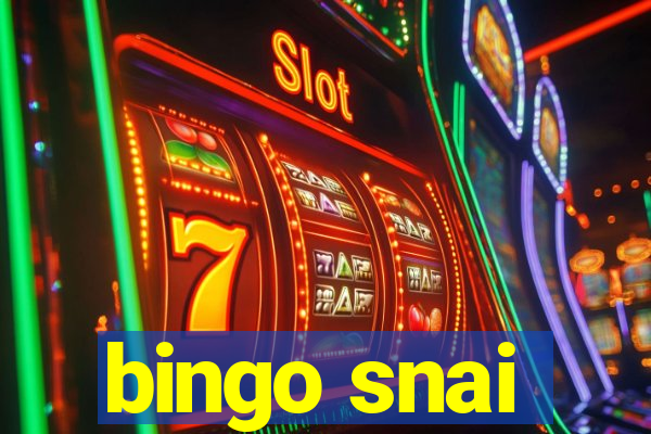 bingo snai