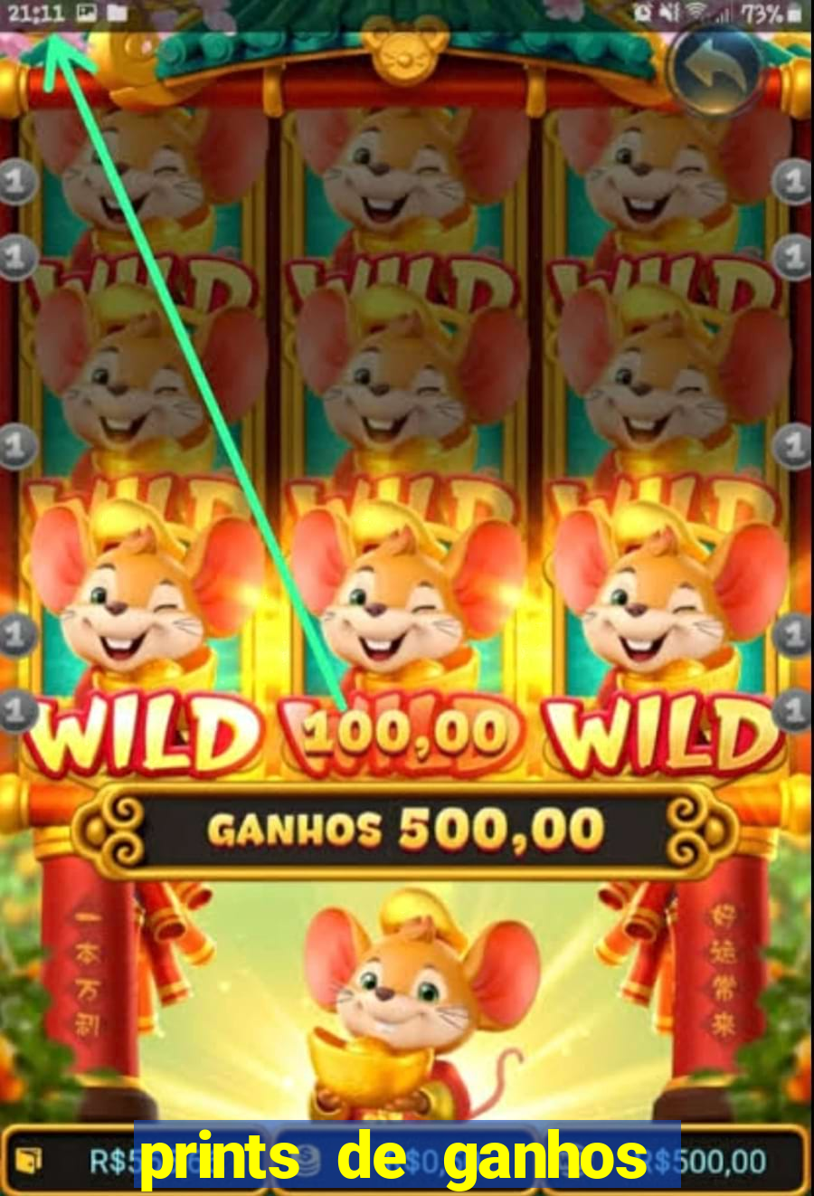 prints de ganhos no fortune tiger