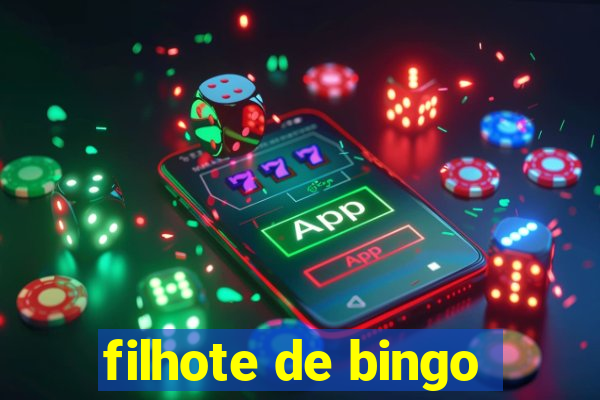 filhote de bingo