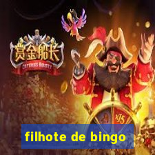 filhote de bingo