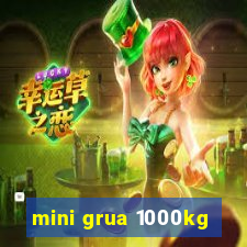 mini grua 1000kg