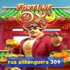 rua anhanguera 309