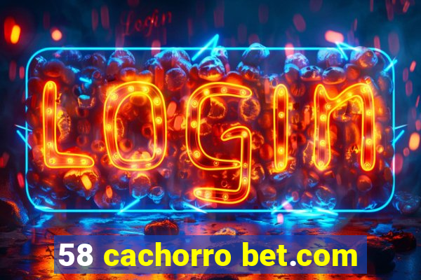 58 cachorro bet.com