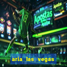 aria las vegas hotel and casino