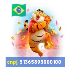 cnpj 51365893000100