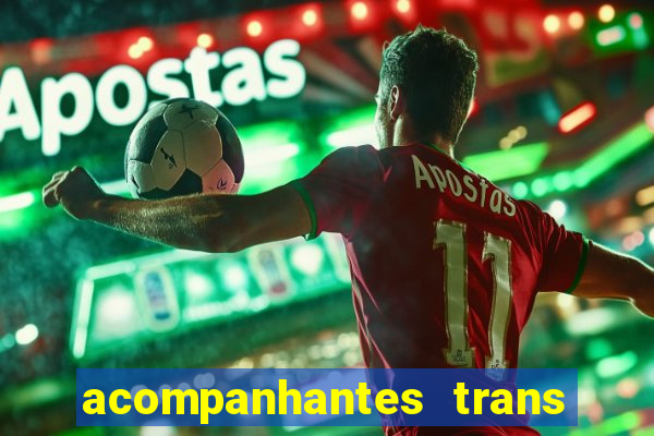 acompanhantes trans em santos