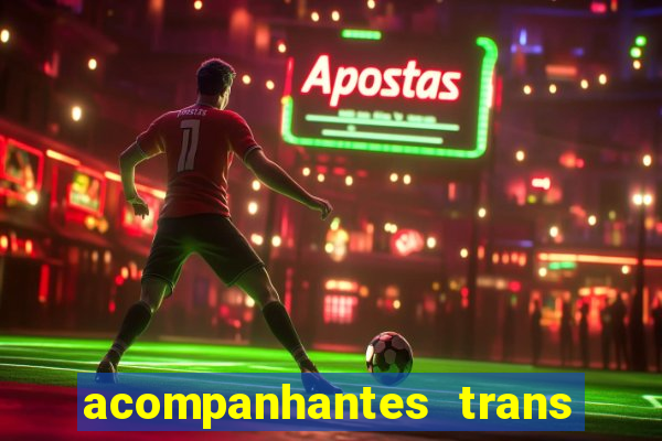 acompanhantes trans em santos