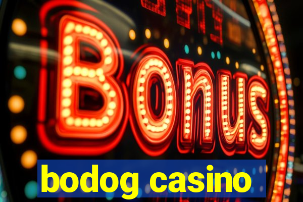 bodog casino