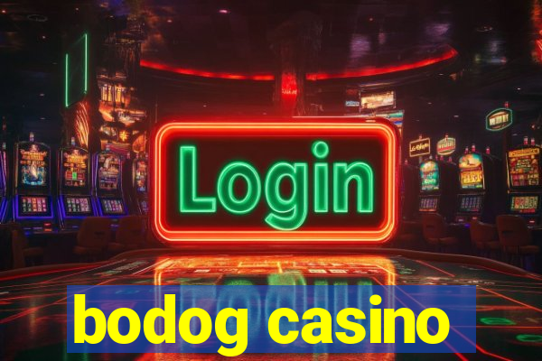 bodog casino