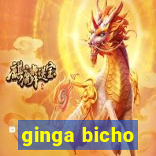 ginga bicho