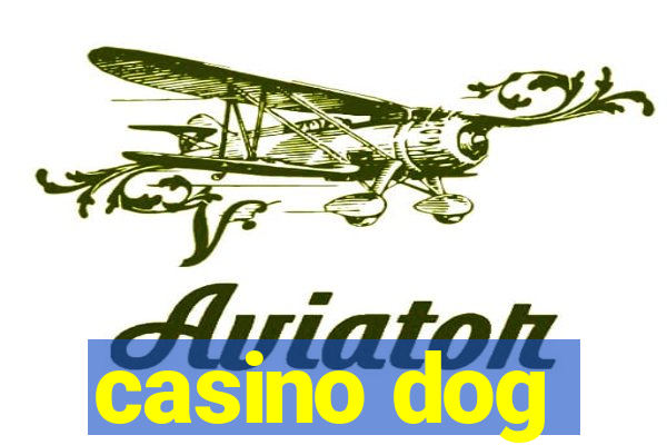 casino dog