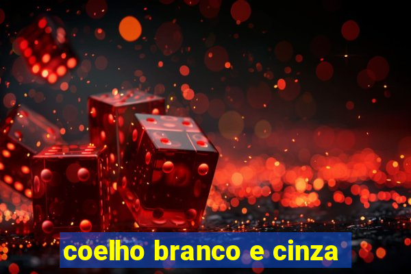 coelho branco e cinza