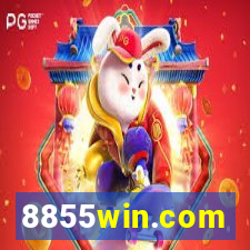 8855win.com