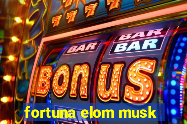 fortuna elom musk